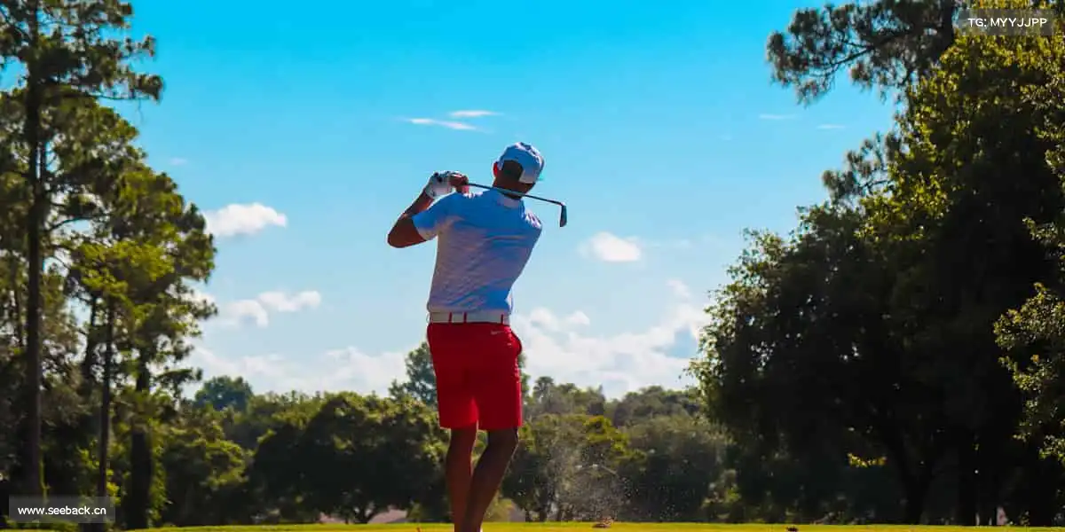 <strong>扒开让我蜜桃视频网站入口</strong>承载光影梦想，打造每一个触动心灵的影视瞬间✨